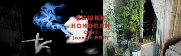 мяу мяу мука Ладушкин